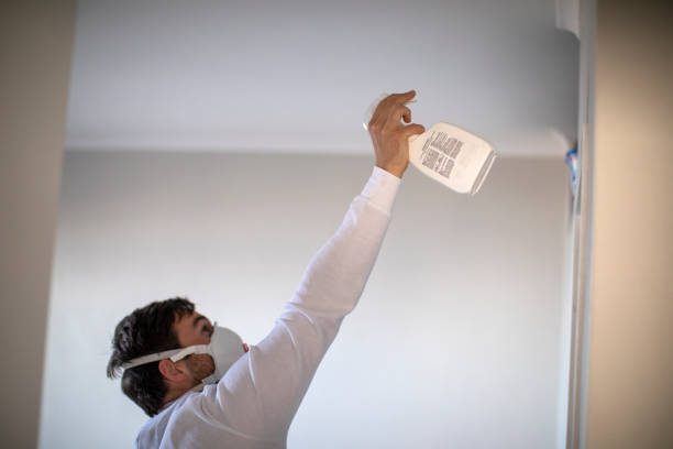 Reliable Stonecrest, GA Mold Remediation Solutions