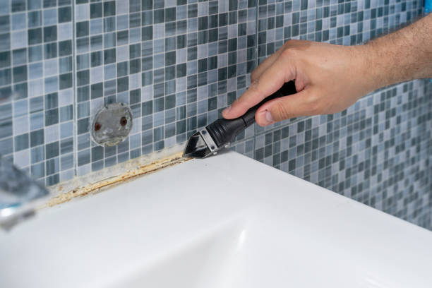 Best Health and Safety Mold Remediation in Stonecrest, GA